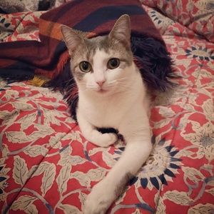 Meet your Posher, Emily